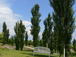 �t���[��